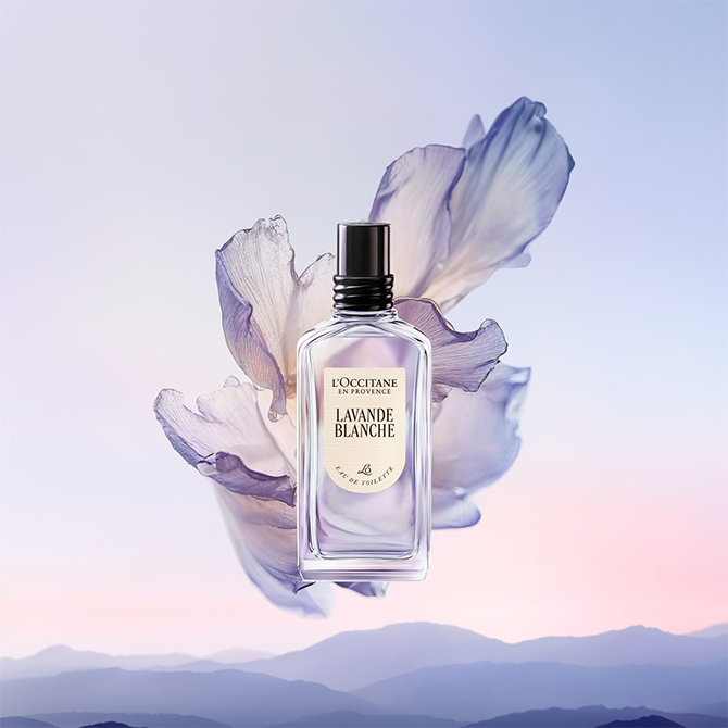 L'Occitane Lavande Blanche セット セット (sh/gel/250ml + h/cr/30ml + bath/bomb/2x18g) - L'Occitane